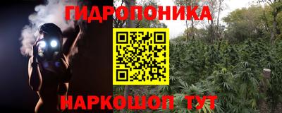 гашишное масло Кингисепп
