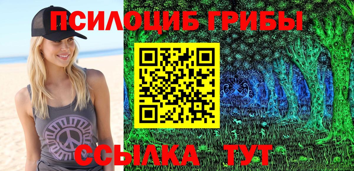 Псилоцибиновые грибы прущие грибы Красноуфимск